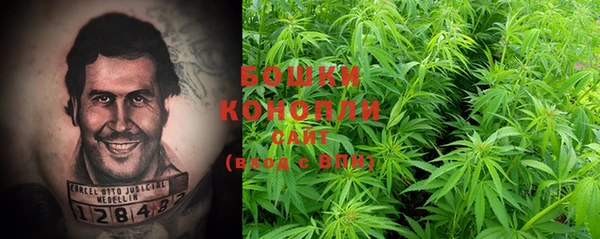 круглые Карпинск