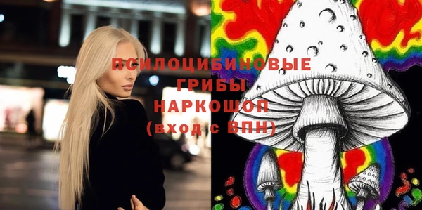 крисы Янаул