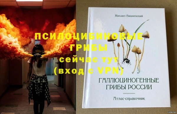 твердый Киренск
