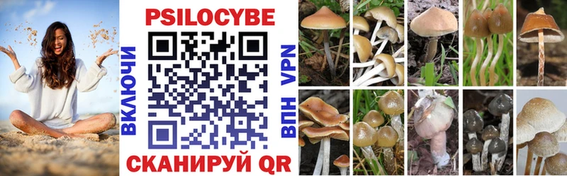 Галлюциногенные грибы GOLDEN TEACHER  Медвежьегорск 